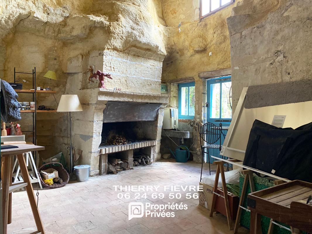 VILLAINES-LES-ROCHERS Villaines Les Rochers  - 37190 - Ensemble immobilier comprenant MAISON D'HABITATION (2 chambres), ESPACES TROGLODYTIQUES, HANGAR , TERRAIN arboré et BOIS 14