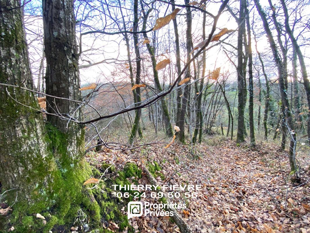VILLAINES-LES-ROCHERS Villaines Les Rochers  - 37190 - Ensemble immobilier comprenant MAISON D'HABITATION (2 chambres), ESPACES TROGLODYTIQUES, HANGAR , TERRAIN arboré et BOIS 18
