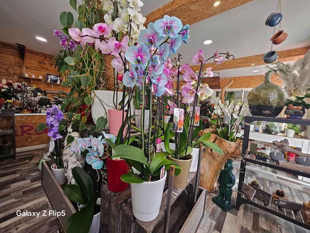 REIMS 51100 REIMS - FLEURISTE 6