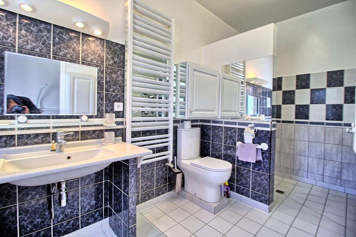 SAINT-SYLVAIN-D'ANJOU Maison Saint Sylvain D'Anjou 6 chambres 14