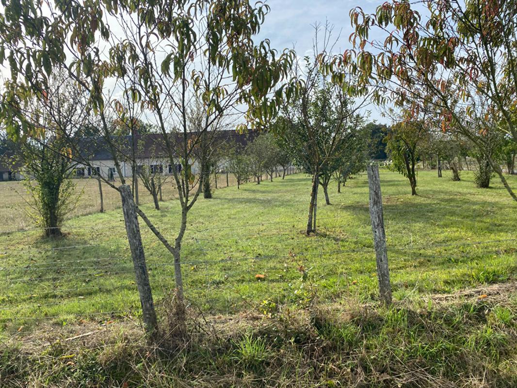 CHARNIZAY Corps de ferme Charnizay 8 pièce(s) 160 m2 13