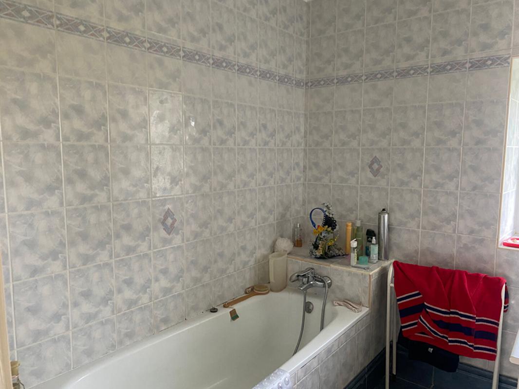 CHARNIZAY Corps de ferme Charnizay 8 pièce(s) 160 m2 9