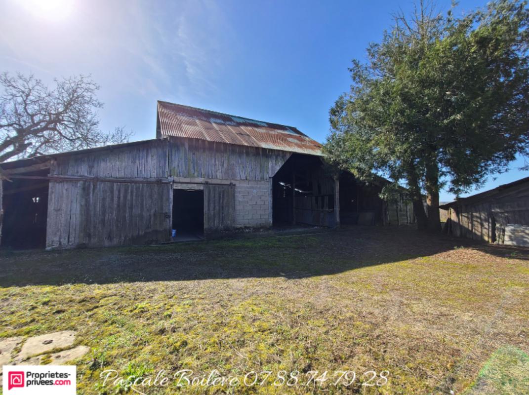 VERNOIL-LE-FOURRIER Maison avec diverses dépendances sur terrain de 3 000 m² - Vernoil le Fourrier (49390) 16