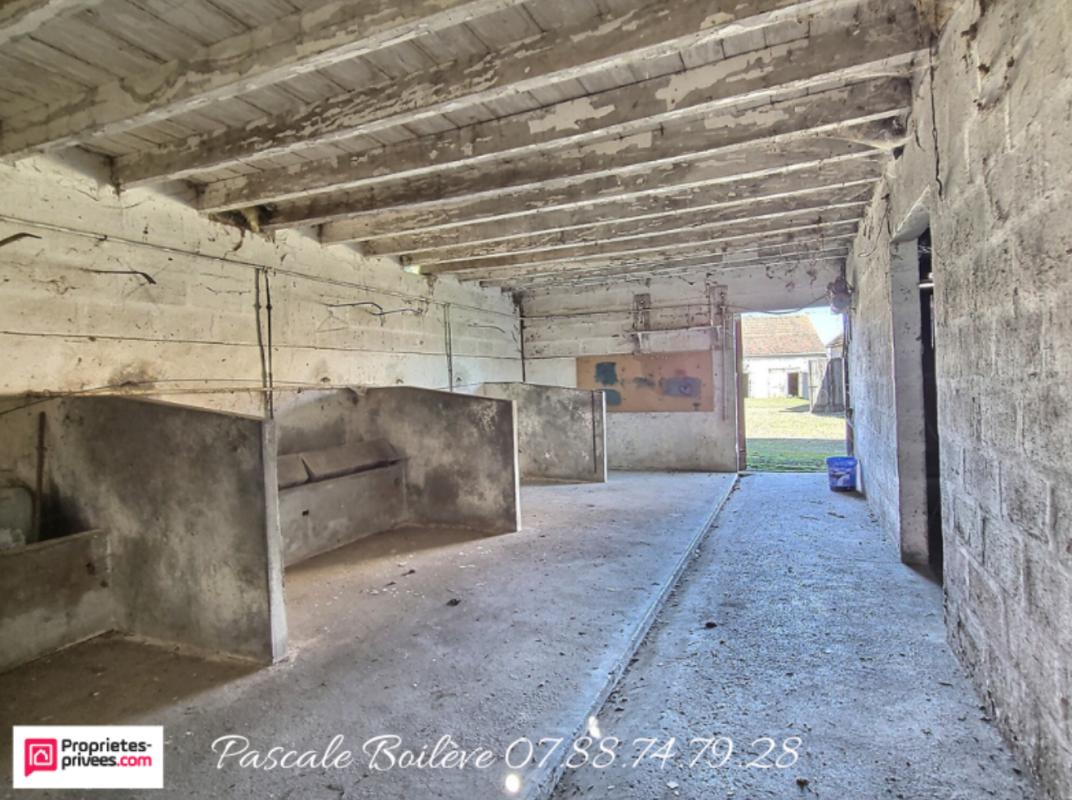 VERNOIL-LE-FOURRIER Maison avec diverses dépendances sur terrain de 3 000 m² - Vernoil le Fourrier (49390) 17