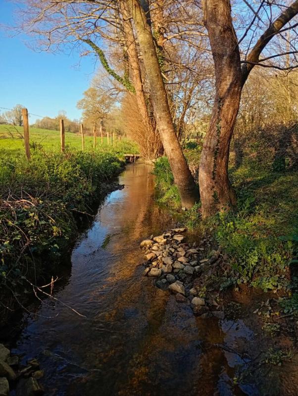 CAMPBON Maison 6 pièce(s) 115 m2 8