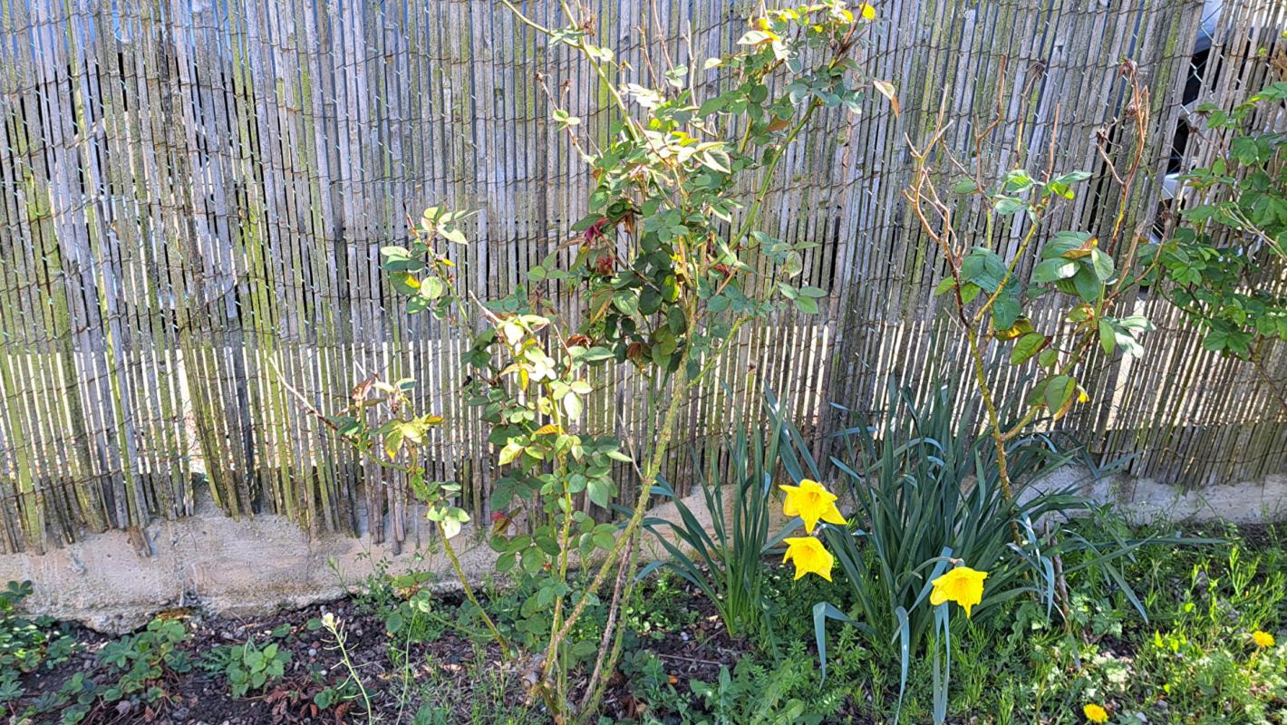 COIGNIERES Maison 4 chambres Coignieres 14