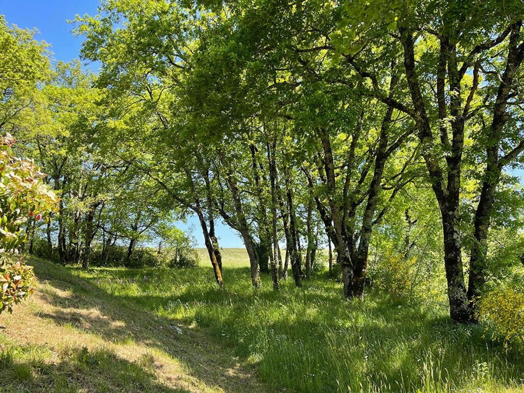 SALVIAC Spacieuse maison avec gîte, grand garage, à distance de marche d'un village dans le Lot 17
