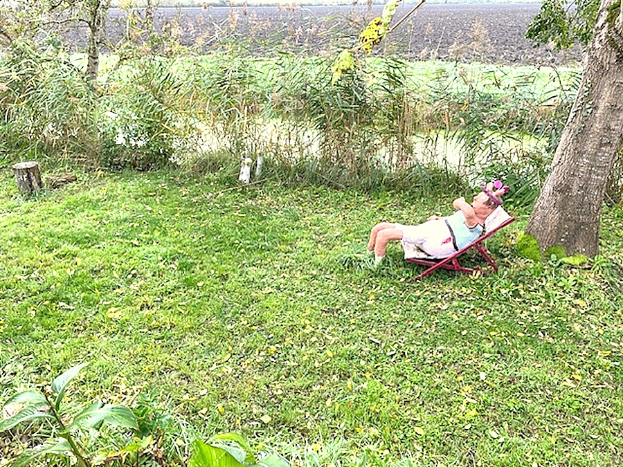 TAUGON RARE Maison typique du Marais - 70 m² - Charme authentique & environnement paradisiaque 7