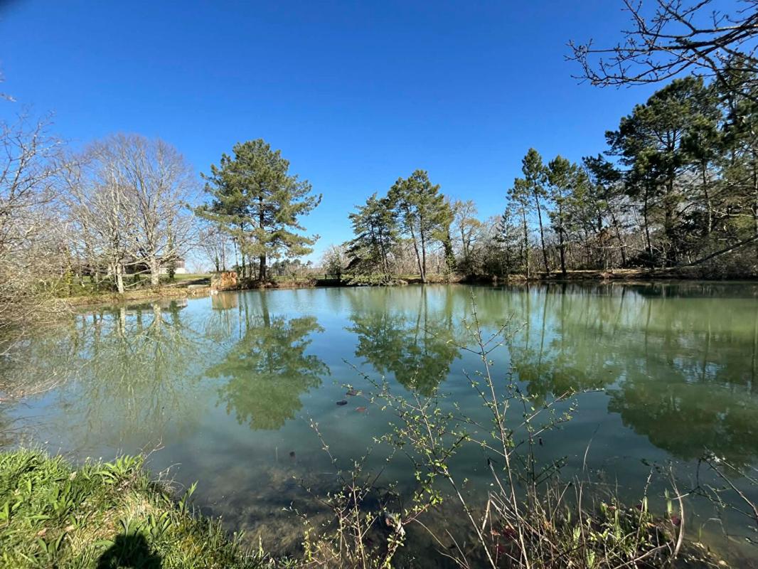CAMPSEGRET Propriété avec terres et étangs Campsegret 430 m2 6