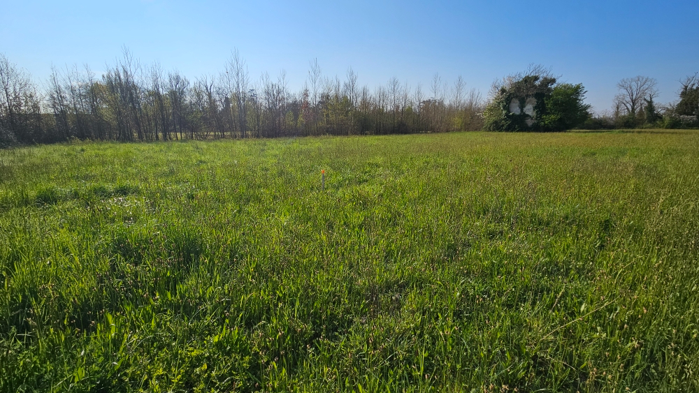 LAFOX LAFOX 47240 Terrain constructible 982 m2 1