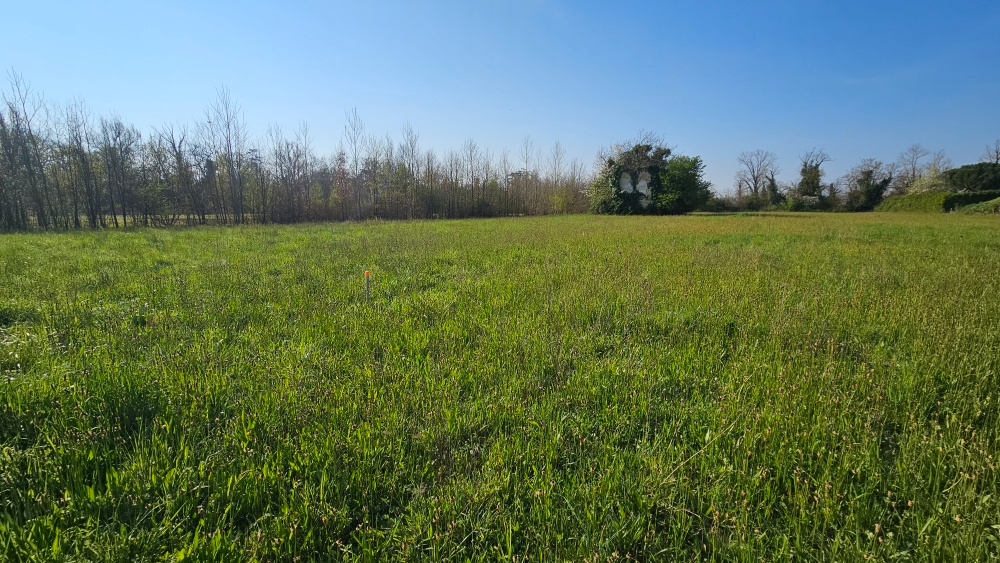 LAFOX LAFOX 47240 Terrain constructible 1004m2 1