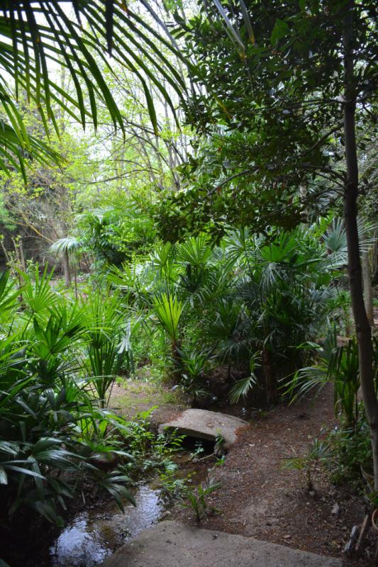 FERRALS-LES-CORBIERES Vente Maison de maître - 490 m2 - FERRALS LES CORBIERES - 398 000 FAI 18