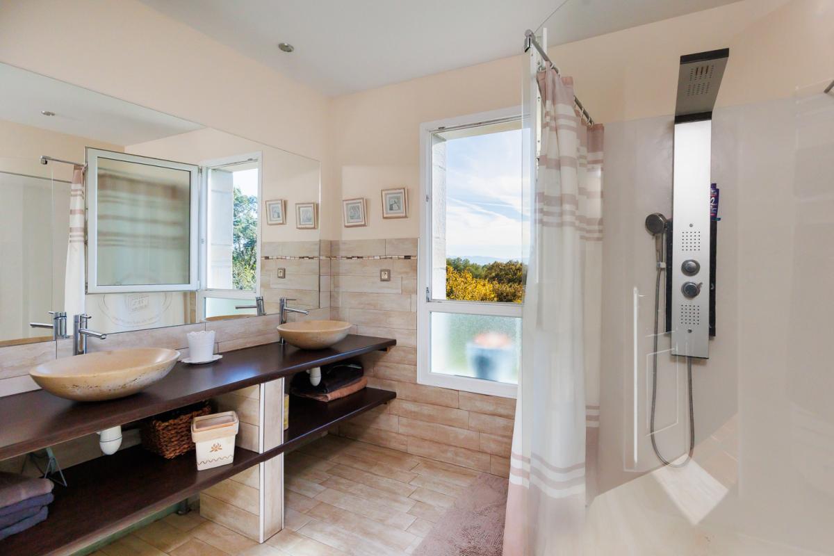 SALIES-DE-BEARN Magnifique propriété de deux maisons - Piscine à débordement vue sur les Pyrénées- 10