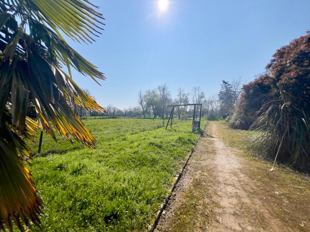 SèVREMOINE Maison Sevremoine 6 pièce(s) 141 m2 11