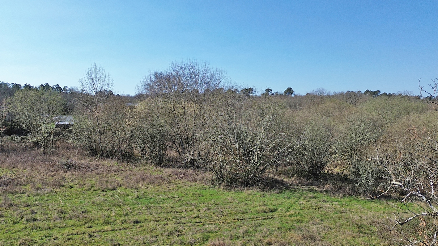 NABIRAT Terrain  à bâtir. Nabirat 2290 m2 2