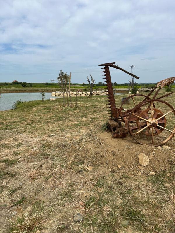 BASSAN Propriété équestre avec habitation et installations à Bassan 13