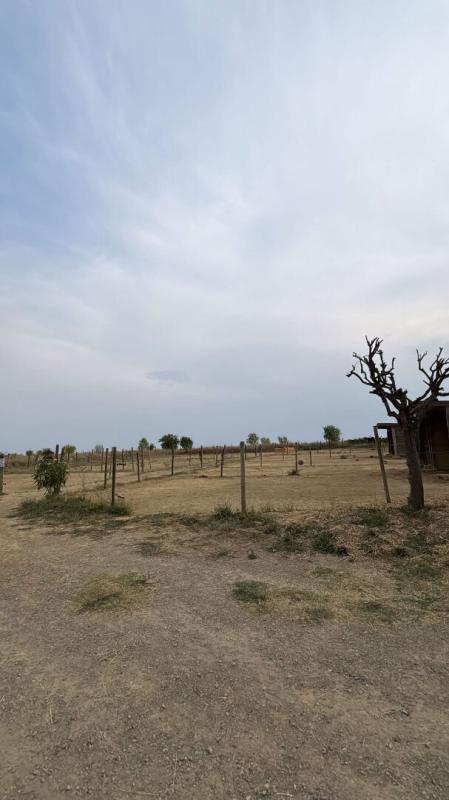 BASSAN Propriété équestre avec habitation et installations à Bassan 15