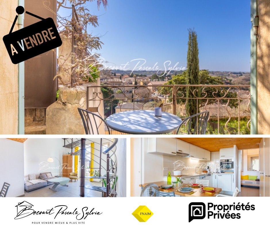 BEAUMES-DE-VENISE Appartement T3 + mezzanine avec terrasse et vue ? Beaumes-de-Venise 1