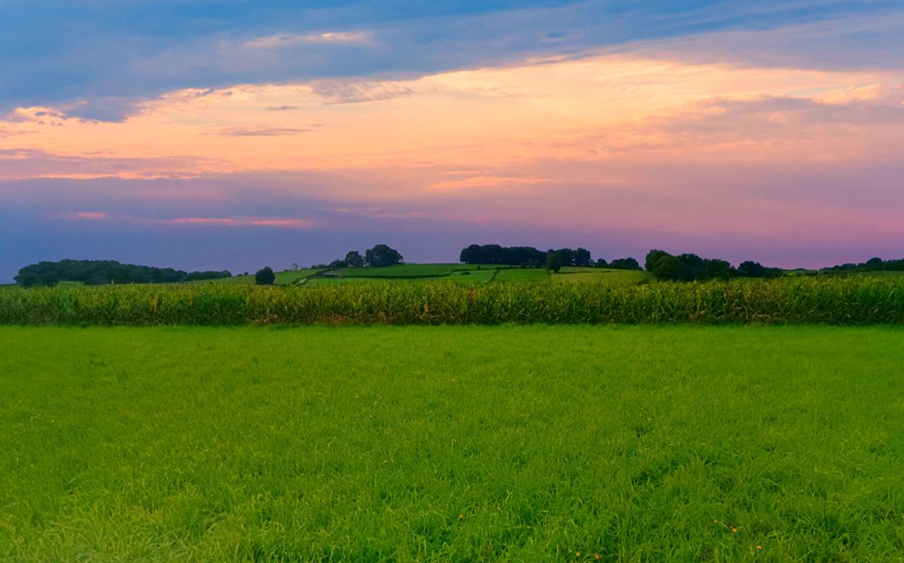 LABASTIDE-VILLEFRANCHE 64270  LABASTIDE VILLEFRANCHE terrain constructible 5000 M2 à 10 mn BIDACHE 5