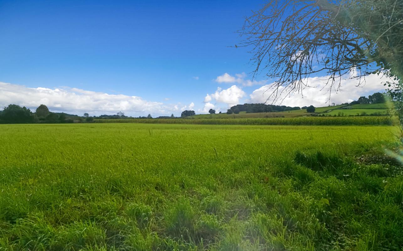 LABASTIDE-VILLEFRANCHE 64270  LABASTIDE VILLEFRANCHE terrain constructible 5000 M2 à 10 mn BIDACHE 6
