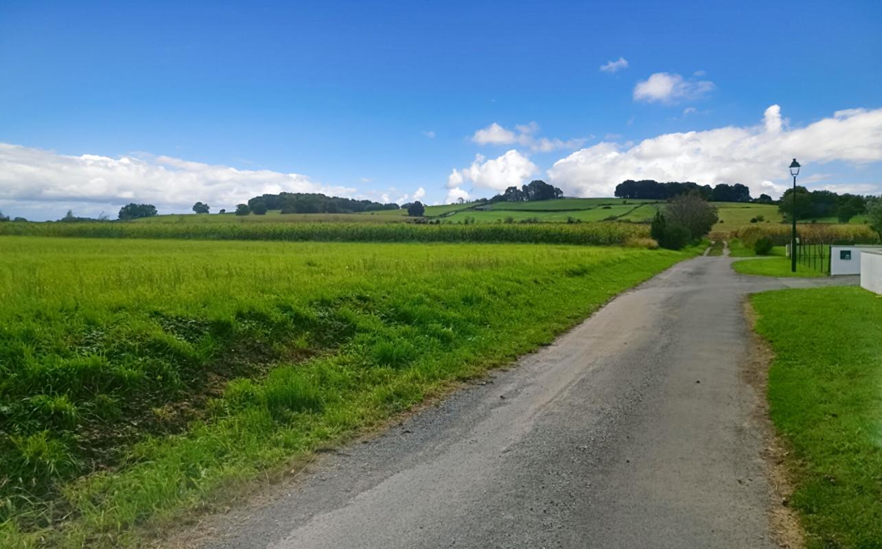 LABASTIDE-VILLEFRANCHE 64270  LABASTIDE VILLEFRANCHE terrain constructible 5000 M2 à 10 mn BIDACHE 8