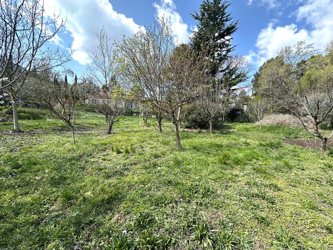 CADOLIVE EXCLUSIVITÉ  Maison avec piscine, garage  grand terrain 14