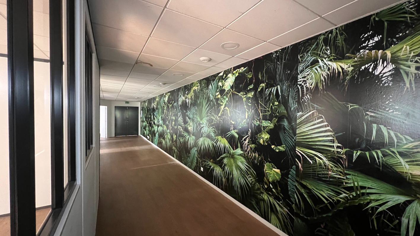 BOULOGNE-BILLANCOURT Bureaux 260 m2 dans bel immeuble Boulogne-Bill Nord 5