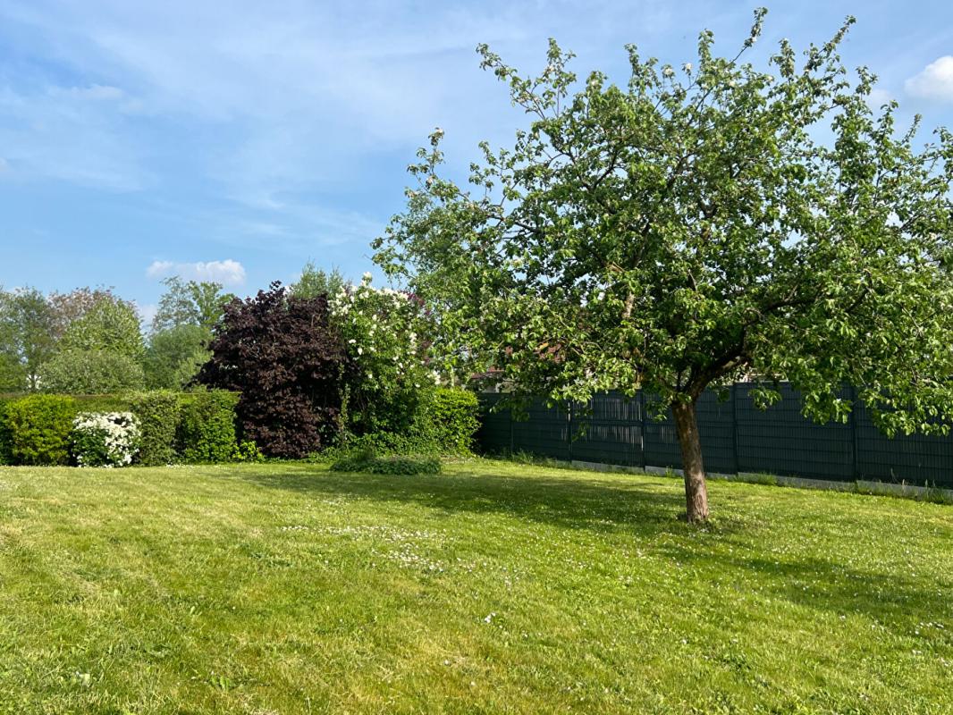 GOURNAY-EN-BRAY Maison 5 chambres centre Gournay en Bray 17