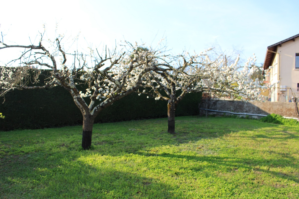 ROUSSILLON Maison Roussillon 6 pièce(s) 220 m2 15