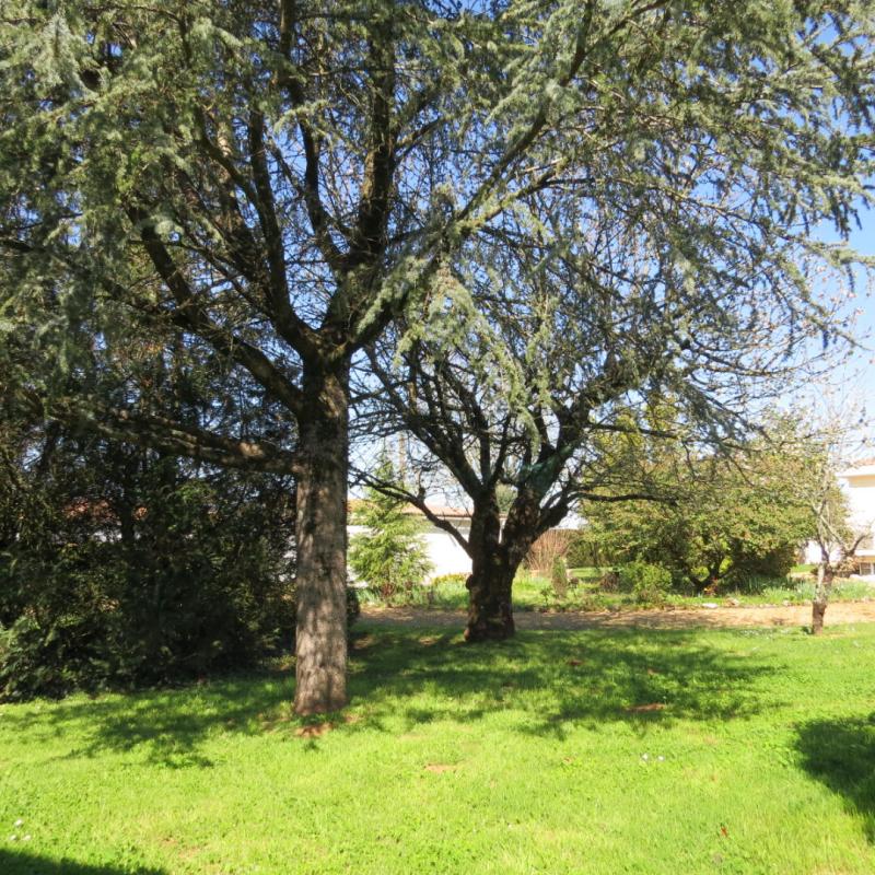 FONTENAY-LE-COMTE jolie Villa de plain pied indépendante et son jardin paysagé 3