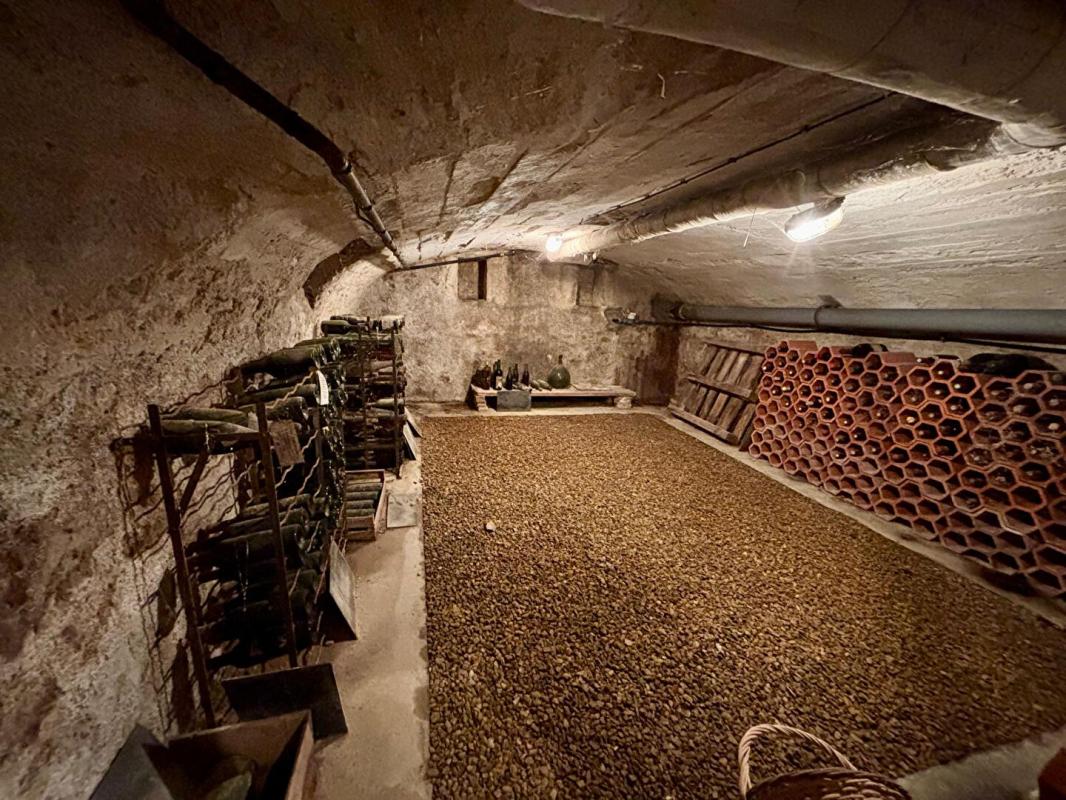 MAGNY-COURS Maison de caractère 332 m² - Terrain 2 489 m² - Piscine - Dépendances - Proche Magny-Cours 13