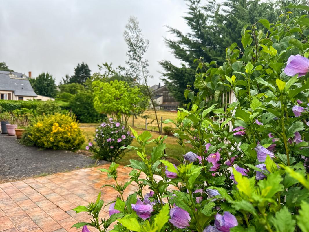 SAINT-DENIS-D'ANJOU Maison Saint Denis D Anjou 6 pièce(s) 15