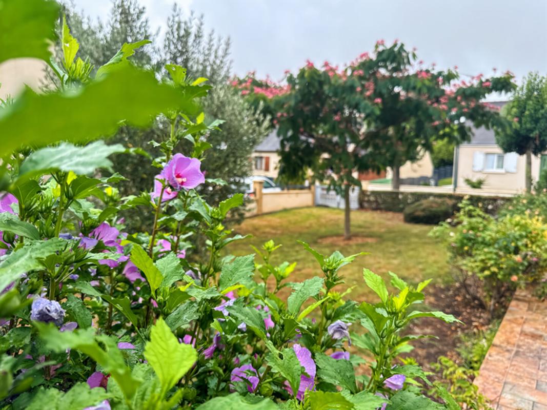 SAINT-DENIS-D'ANJOU Maison Saint Denis D Anjou 6 pièce(s) 16