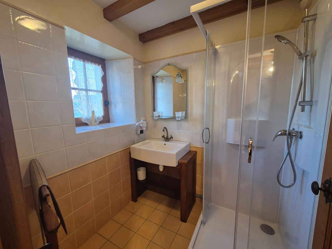 SARRAN Maison Sarran 9 pièce(s) 258 m2 8