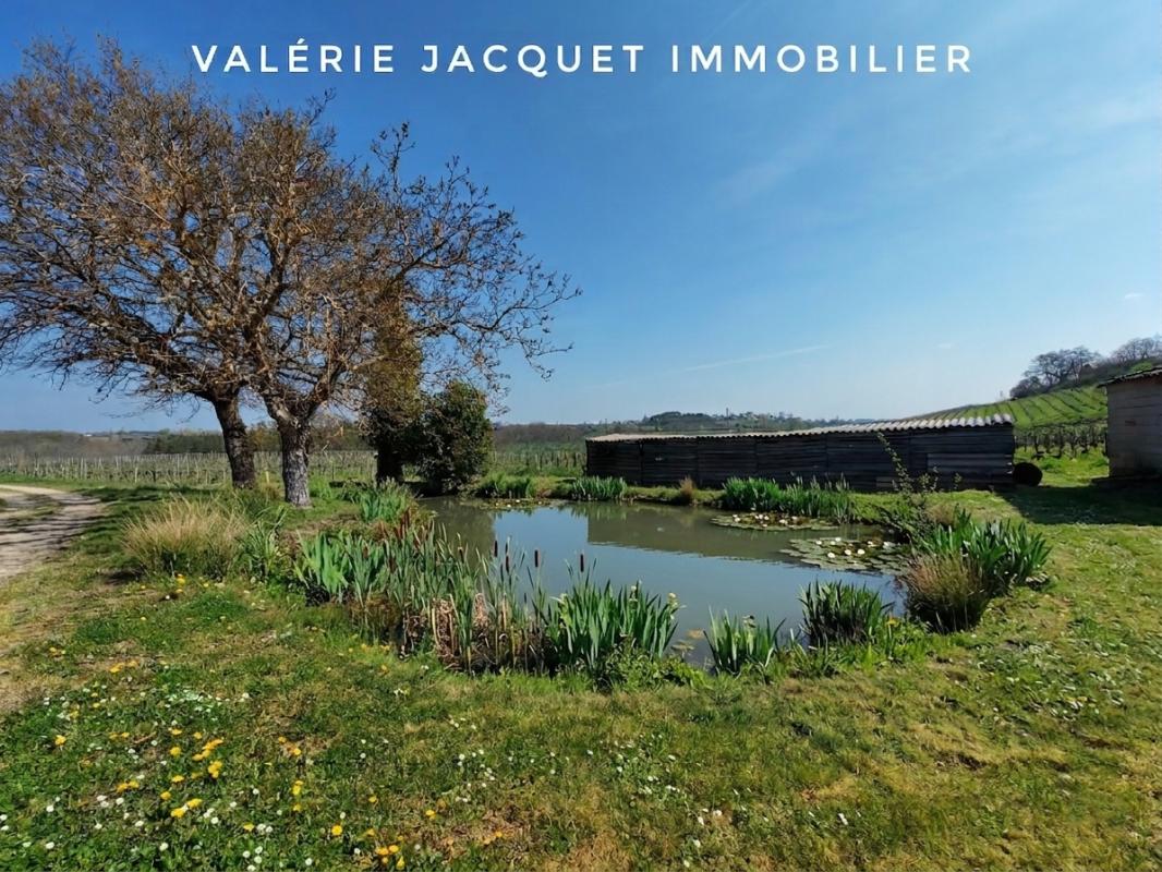 SAINT-CIBARD Domaine de Caractère à Saint-Cibard : Authenticité & Potentiel 7