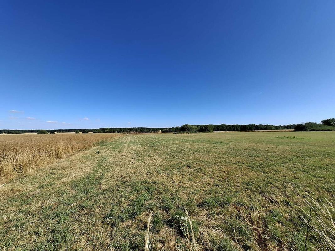 LA PUISAYE Maison/Pavillon proche LA FERTE VIDAME 9 pièce(s) 137.19 m2 avec terrain 1355m² 18