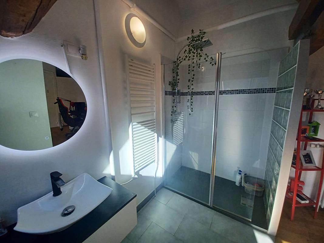 L'AIGLE PROPRIETE - MAISON DE MAITRE L'AIGLE 12 pièce(s) 285 m2 avec piscine couverte 13