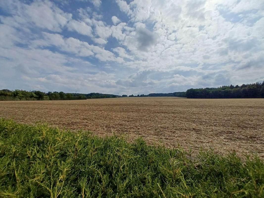 LE MENIL-BERARD PROCHE L'AIGLE/MORTAGNE MAGNIFIQUE PROPRIETE  5 pièce(s) 233.5 m2 avec piscine 18