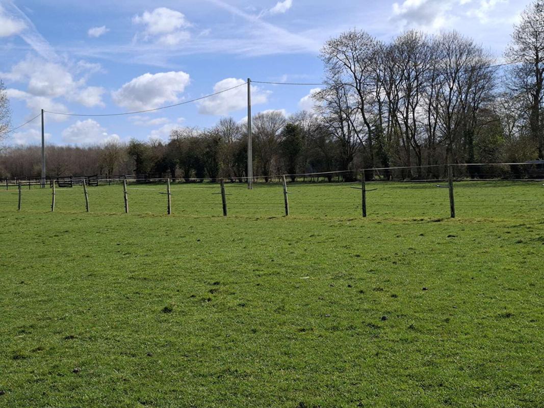 L'AIGLE Propriété L'AIGLE 6 pièce(s) 138 m2 - 4 Box et plus de 2,6 hectares 13