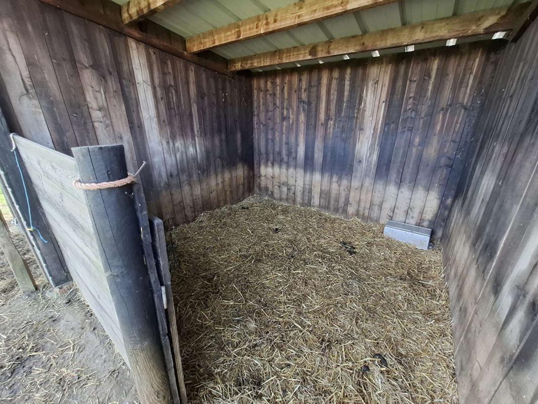 L'AIGLE Propriété L'AIGLE 6 pièce(s) 138 m2 - 4 Box et plus de 2,6 hectares 14