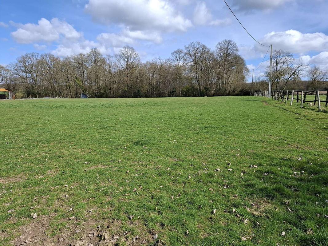 L'AIGLE Propriété L'AIGLE 6 pièce(s) 138 m2 - 4 Box et plus de 2,6 hectares 16