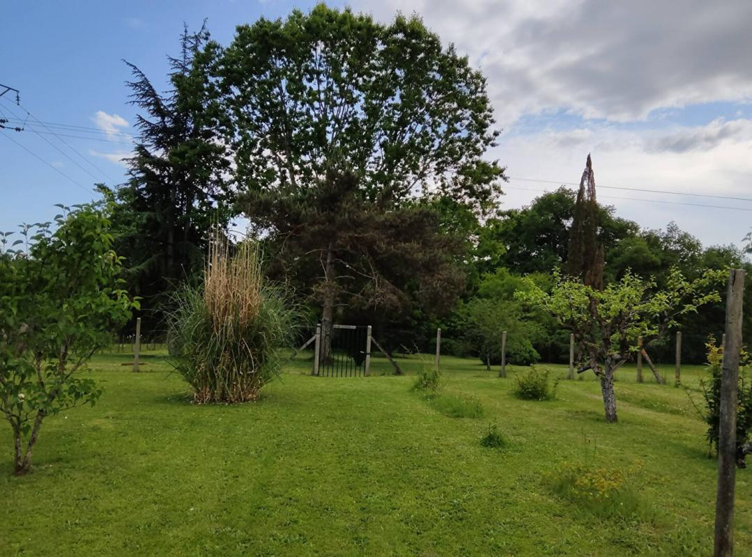 MOULEYDIER Bord de Dordogne · 2 maisons indépendantes · Piscine · 3 300 m² · 15 min Bergerac 4