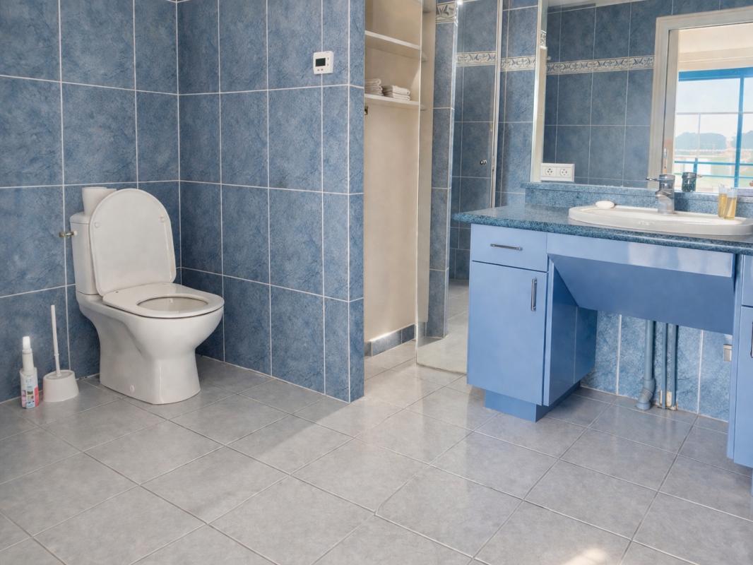 TERRASSON-LAVILLEDIEU Appartement d'exception avec vue sur la Vézère - Centre-ville de Terrasson-Lavilledieu (24120) 5 pièce(s) 116 m2 6