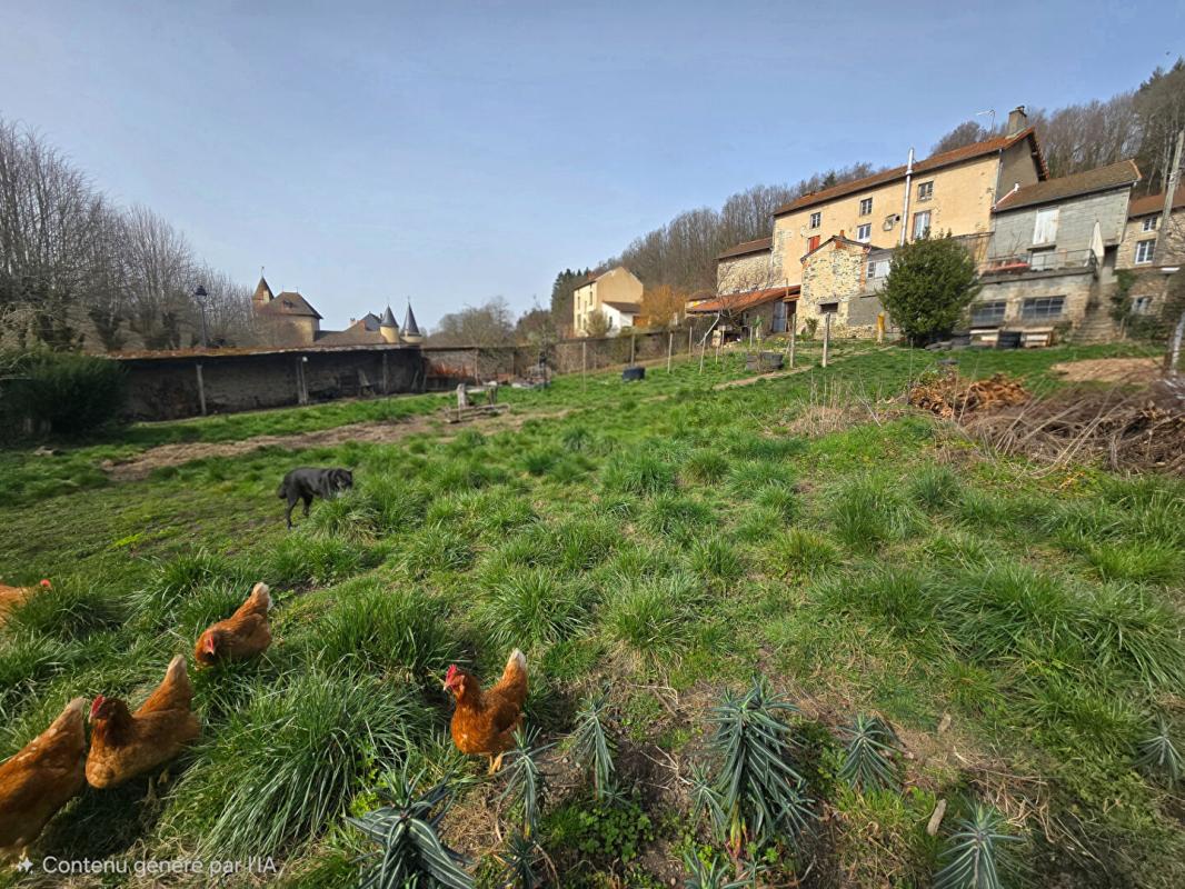 FERRIERES-SUR-SICHON Maison Ferrieres Sur Sichon 172m2 4