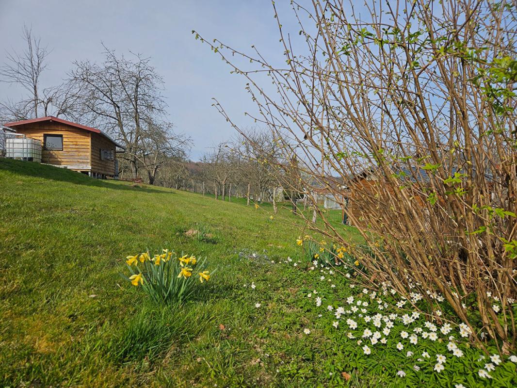 JUSSARUPT Chalet cosy vue imprenable, avec terrain et verger à Jussarupt 17