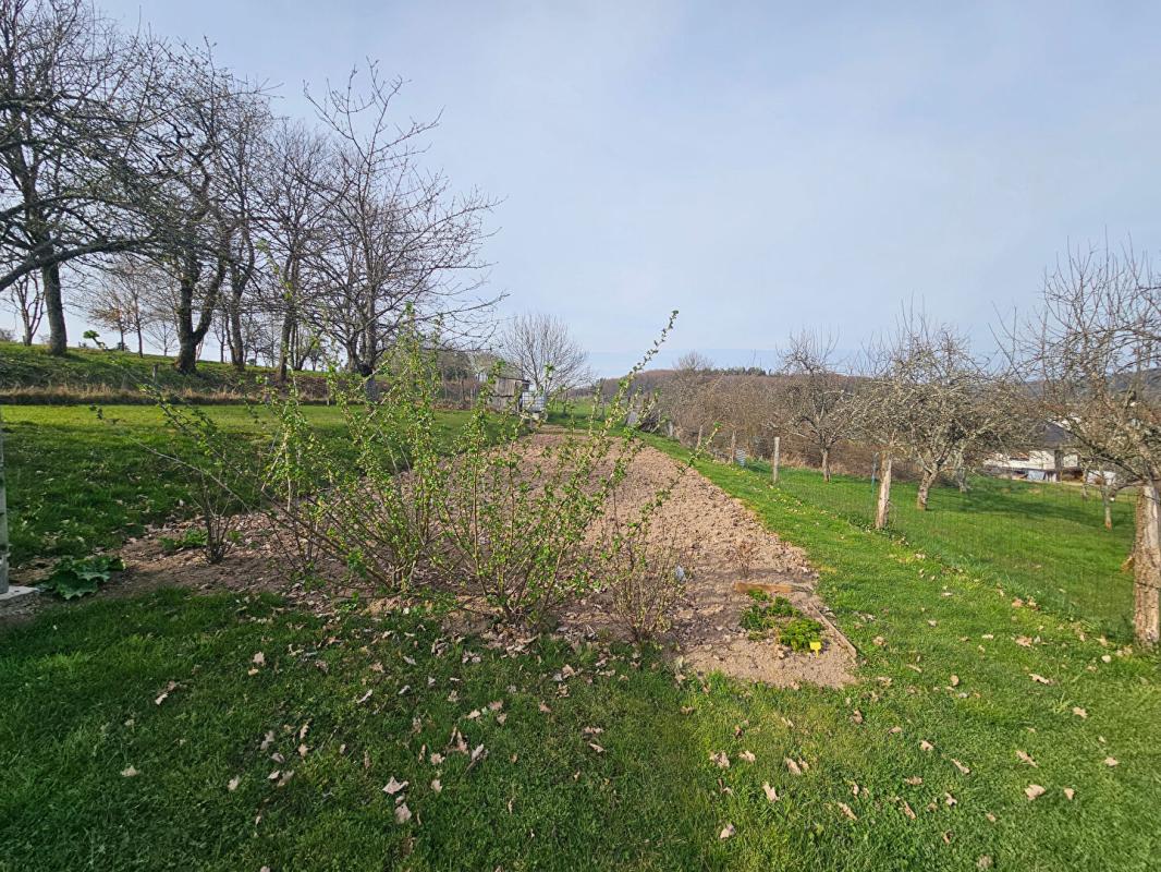 JUSSARUPT Chalet cosy vue imprenable, avec terrain et verger à Jussarupt 18