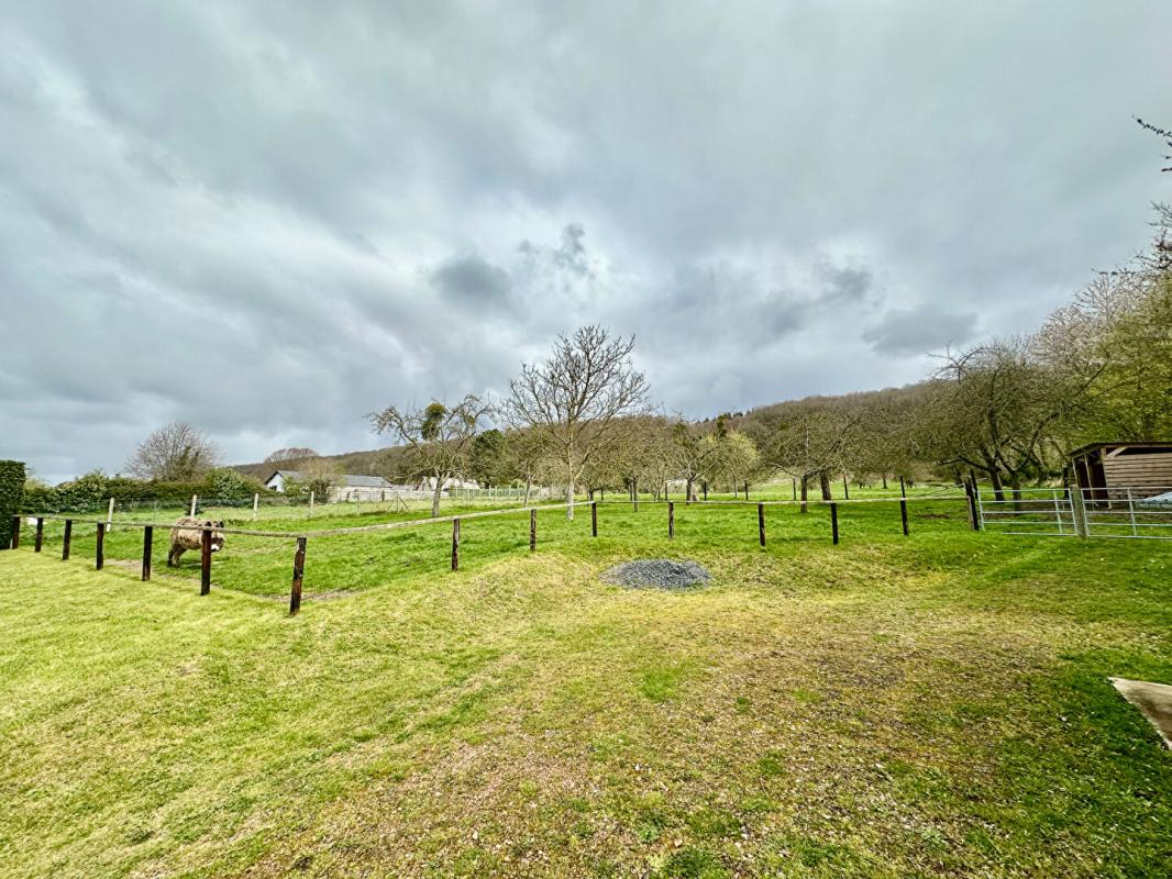 FIERVILLE-LES-PARCS Bien rare à la vente - Pressoir  authentique & rénové avec 1.8 hectare, calme  et charme incomparable 12