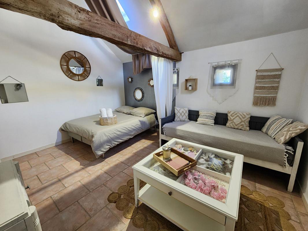 LOCHES Maison Loches 9 pièce(s) 298 m2 11