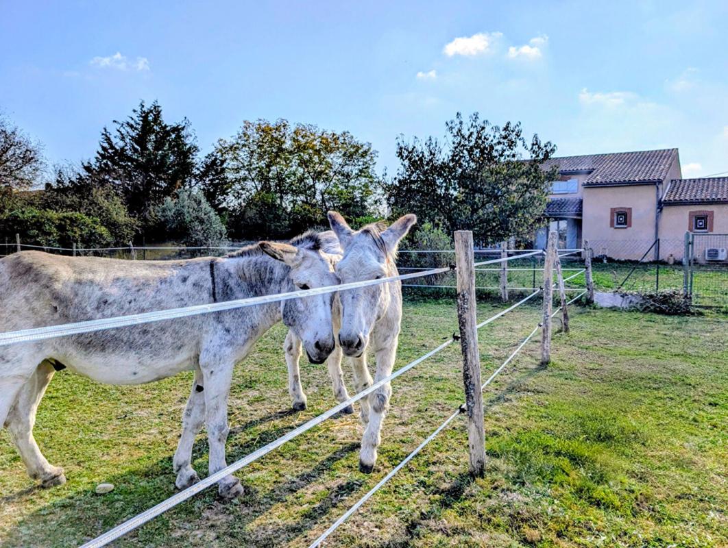 SAINT-ELIX-LE-CHATEAU Maison St-Elix-Le-Château 6 pièces165 m2 sur terrain de 1,5 hectare 2