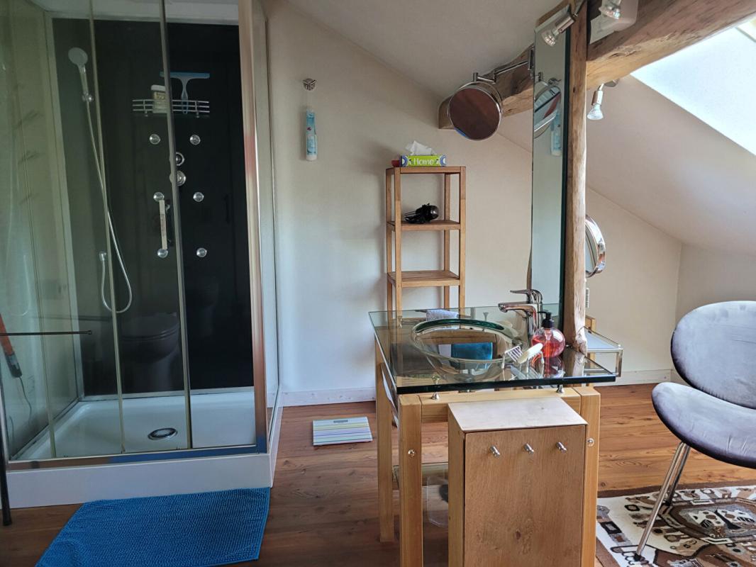 SAINTE-MARIE-EN-CHANOIS grand maison 379 m2, 14 pièces, isolée, avec étang 10